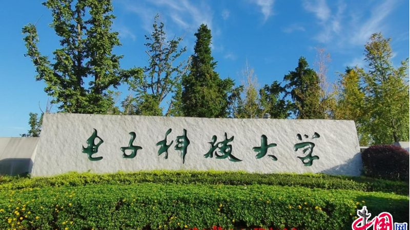 热继电器与过载继电器：选型背后的技术考量**