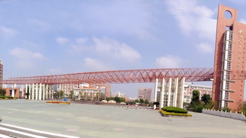 小型继电器尺寸选择：关键因素与实际应用